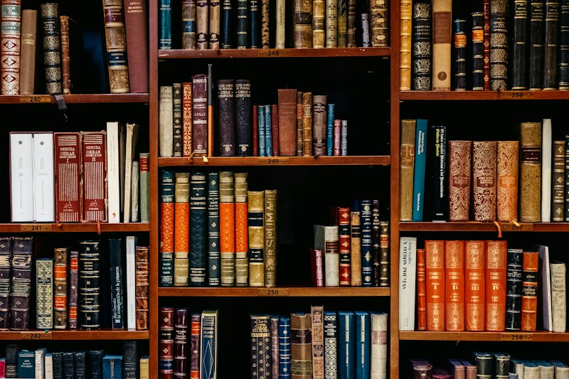 Archival library shelves